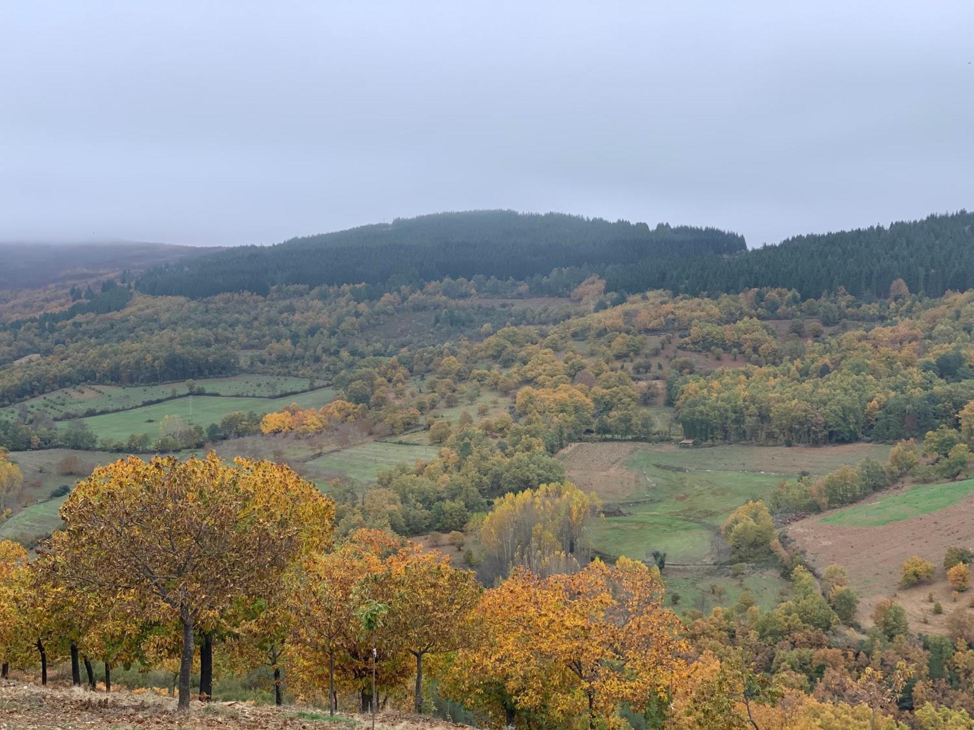 Casa Do Souto - Nature & Experiences - Turismo Rural Bragança Exteriér fotografie